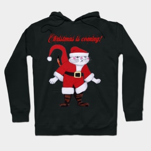 Christmas is Coming Santa cat Hoodie